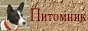 Питомник Басенджи и такс